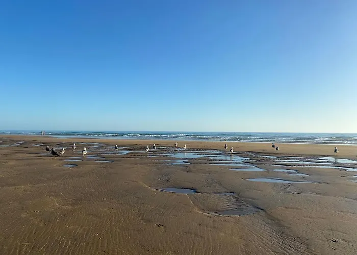 Appartement Los Mellizos